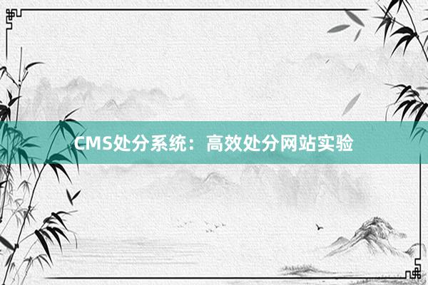CMS处分系统：高效处分网站实验