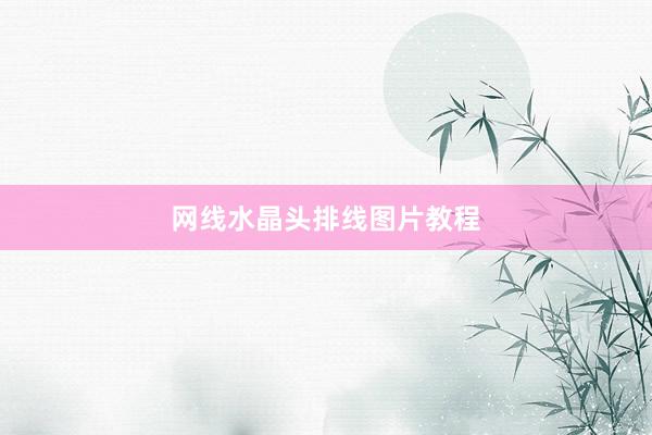 网线水晶头排线图片教程