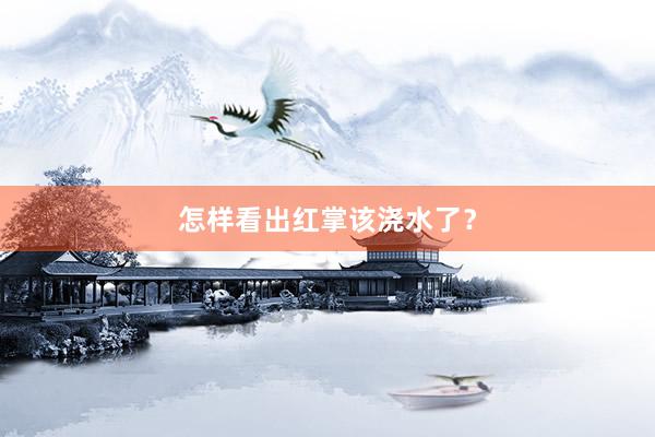 怎样看出红掌该浇水了？