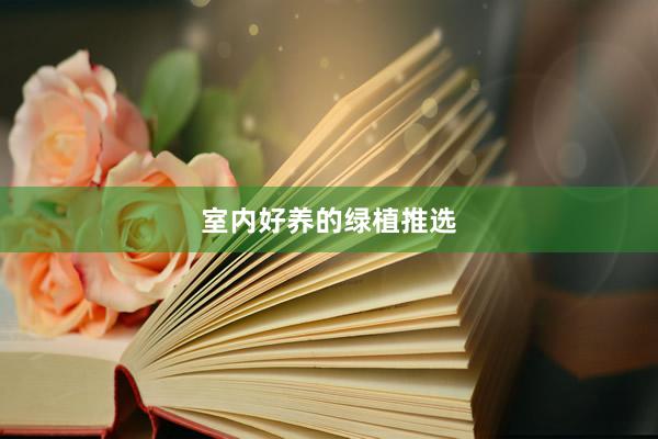 室内好养的绿植推选